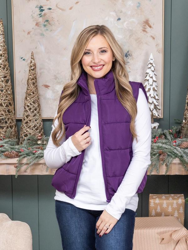 The Ultimate Puffer Vest (22