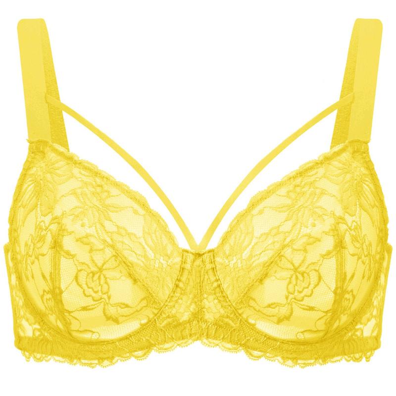 Live Exclusive HSIA Pretty In Petals Unlined Strappy Floral Lace Unpadded Plus Size Underwire Bra