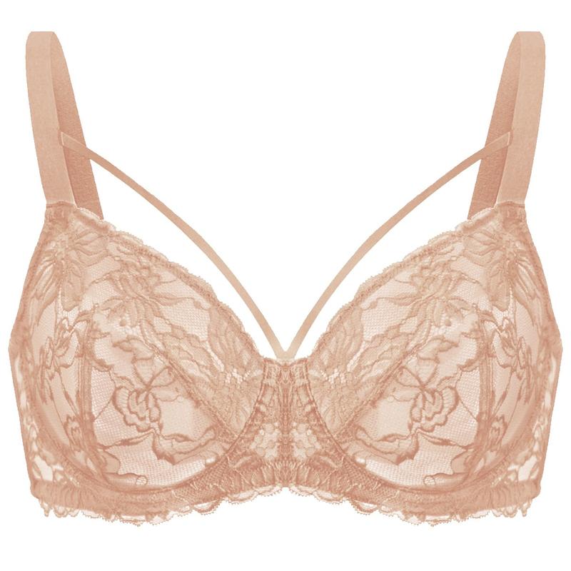 Live Exclusive HSIA Pretty In Petals Unlined Strappy Floral Lace Unpadded Plus Size Underwire Bra